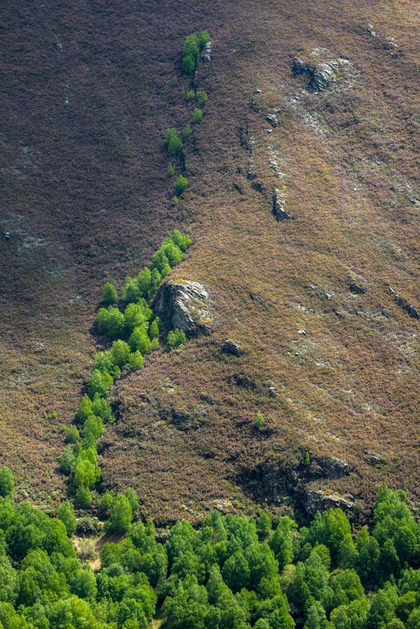 L'île Maurice : Un patchwork culturel forgé par la colonisation